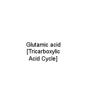Glutamic acid [Tricarboxylic Acid Cycle]